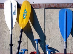 paddles